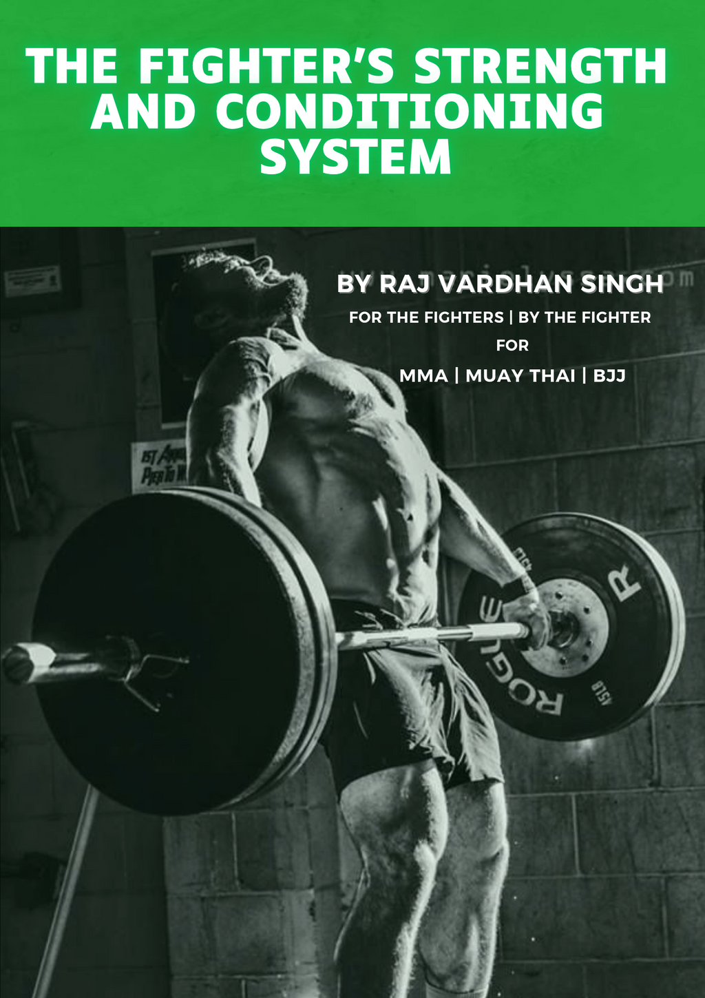 Fighter's Strength and Conditioning System